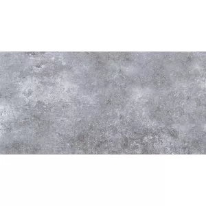 Плитка настенная Тянь Шань Дриада серый TP3650BM 60х30 см