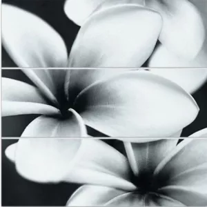 Спецэлемент стеклянный Meissen Keramik Universal Glass Flowers черный 75x75 см