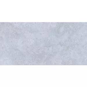 Плитка настенная Тянь Шань Бианор светло-серый TP3619AM 60х30 см