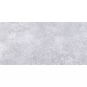 Плитка настенная Тянь Шань Дриада светло-серый TP3650AM 60х30 см